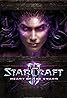 StarCraft II: Heart of the Swarm (Video Game 2013) Poster