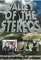 Valley of the Stereos