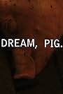 Dream, Pig. (2013)