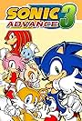 Sonic Advance 3 (2004)