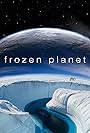 Frozen Planet (2011)