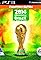 2014 FIFA World Cup: Brazil's primary photo