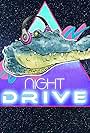 NightDrive (2019)