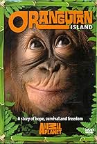 Orangutan Island (2007)