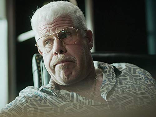 Ron Perlman in StartUp (2016)