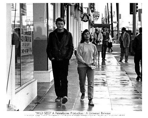 Celia Milius and Michael Parks in Wild Seed (1965)