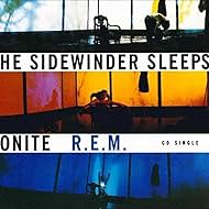 R.E.M.: The Sidewinder Sleeps Tonite (1993)