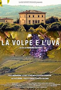 Primary photo for La Volpe e l'Uva