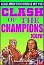 Steve Borden and Davey Boy Smith in Clash of the Champions XXIV (1993)