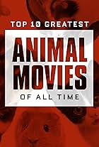 The Top 10 Greatest Animal Movies of All Time (2019)