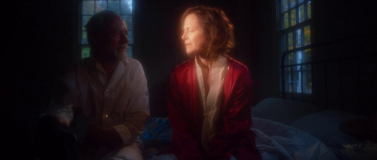 Xander Berkeley and Sarah Clarke in Alchemy of the Spirit (2022)