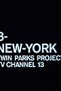 New York - Twin Parks Project - TV Channel 13 (1974)