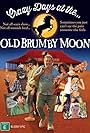 Crazy Days at the old Brumby Moon (2016)