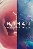 Human: The World Within