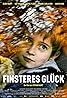 Finsteres Glück (2016) Poster