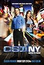 CSI: NY