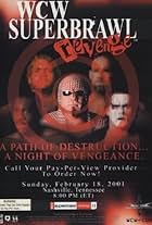 Bill Goldberg, Steve Borden, Sid Eudy, Booker Huffman, and Scott Steiner in WCW SuperBrawl Revenge (2001)