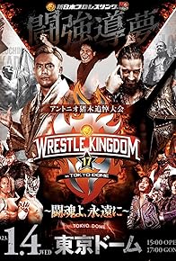 Primary photo for NJPW Wrestle Kingdom 17