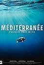 Méditerranée, L'odyssée pour la vie (2022)