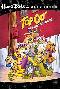 Primary photo for Top Cat