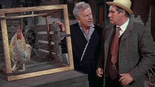 Eddie Albert, Pat Buttram, and Bertram in Green Acres (1965)