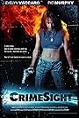 CrimeSight (2014)