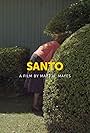 Santo (2015)