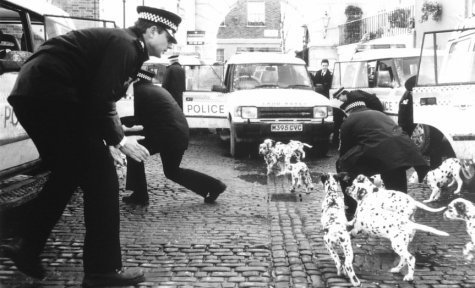 The London Police Department is thrown into a state of chaos when 101 Dalmatians are rexcued from the clutches of Cruella DeVil.