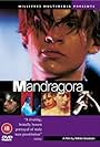 Mandragora (1997)