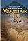 Mountain of Fire: The Search for the True Mount Sinai's primary photo