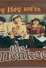 Hey, Hey We're the Monkees (1997)