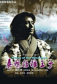 Primary photo for Prince of the Himalayas