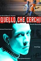 Quello che cerchi (2001)