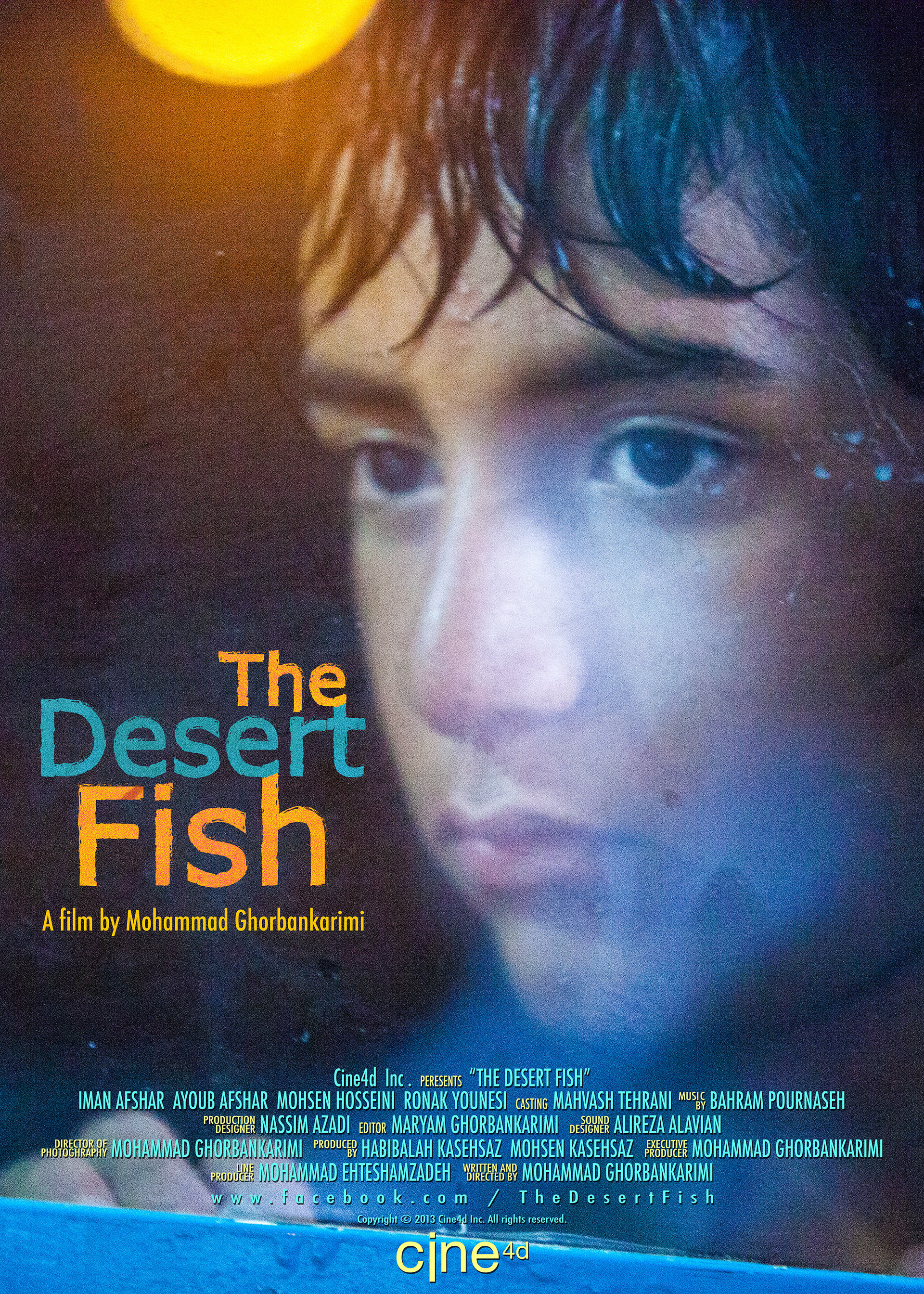 Iman Afshar in The Desert Fish (2013)