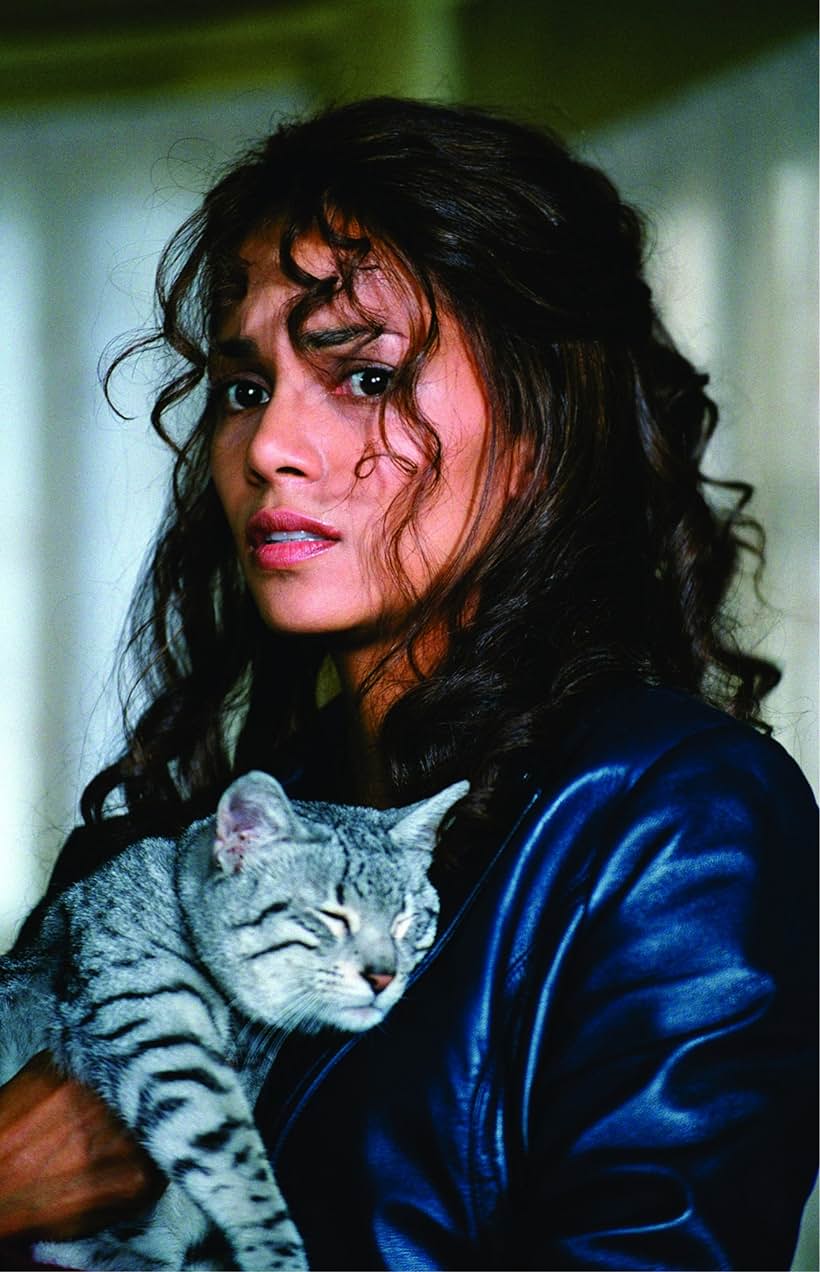 Halle Berry in Catwoman (2004)