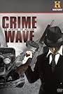 Crime Wave: 18 Months of Mayhem (2008)