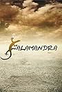 Salamandra