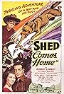 Shep Comes Home (1948)