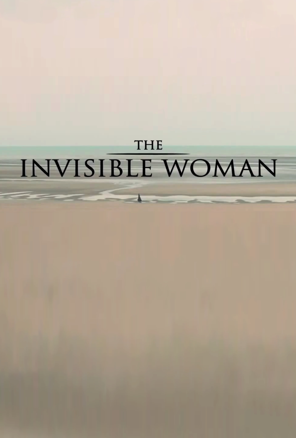 The Invisible Woman (2013)