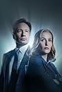 Gillian Anderson and David Duchovny in Season X (2016)