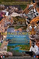 Emerald Forest Return of the Tigers