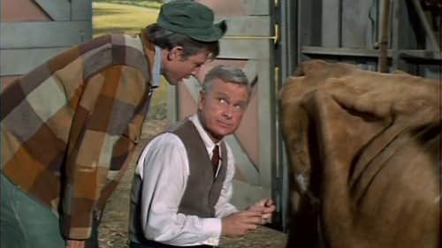 Eddie Albert and Tom Lester in Green Acres (1965)