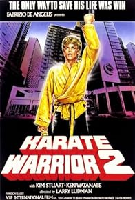 Primary photo for Karate Warrior 2