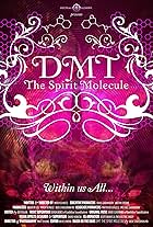 DMT: The Spirit Molecule (2010)