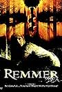 Remmer (2004)