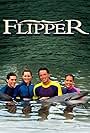 Flipper