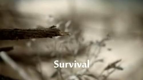 Survival (2012)