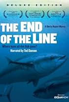 The End of the Line (2009)