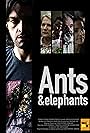 Ants & Elephants (2017)