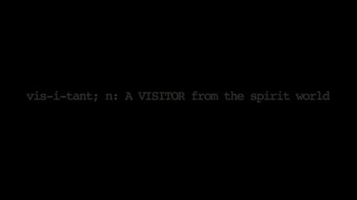 vis-i-tant; n: A VISITOR, esp. one from the spirit world... 

Samantha plays the role of 'Fortune Teller,' but she is a thorough skeptic about 'paranormal happenings' and all things supernatural - she certainly doesn't believe in ghosts. But one night alone in her house, she is about to learn that there are dark forces that don't care whether she believes or not; they are REAL. Or are they?... 